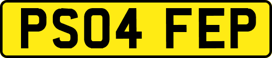 PS04FEP