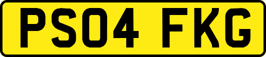 PS04FKG