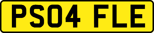 PS04FLE