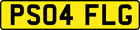 PS04FLG