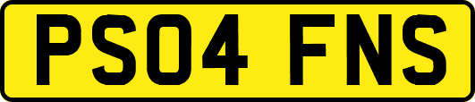 PS04FNS