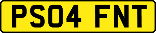 PS04FNT