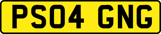 PS04GNG