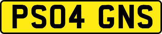 PS04GNS