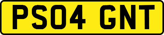 PS04GNT