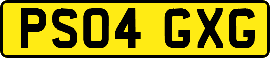 PS04GXG