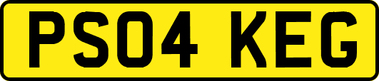 PS04KEG