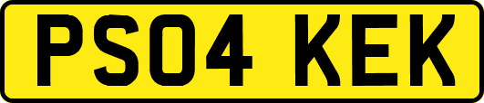 PS04KEK