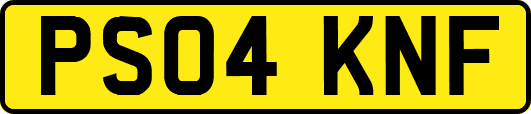 PS04KNF