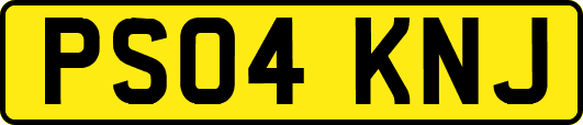 PS04KNJ