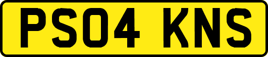 PS04KNS