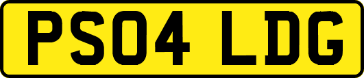 PS04LDG