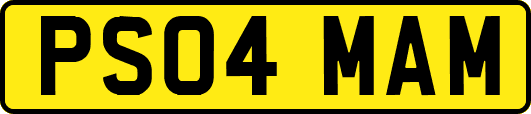PS04MAM
