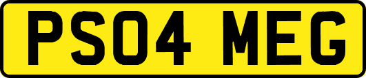 PS04MEG