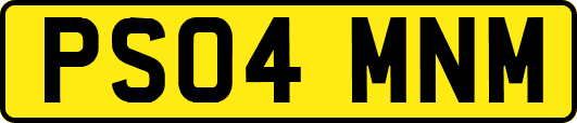 PS04MNM