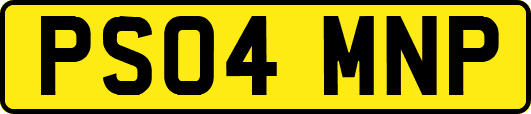 PS04MNP