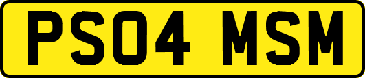 PS04MSM