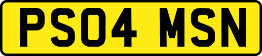 PS04MSN