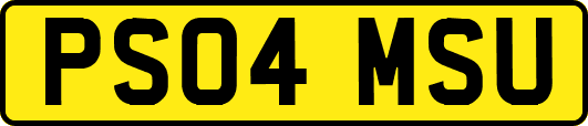 PS04MSU
