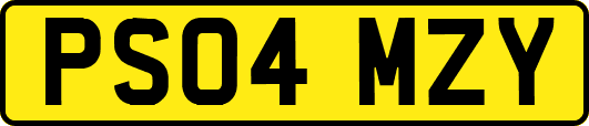 PS04MZY