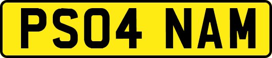 PS04NAM