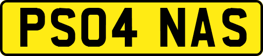 PS04NAS