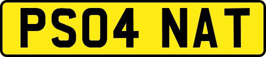 PS04NAT