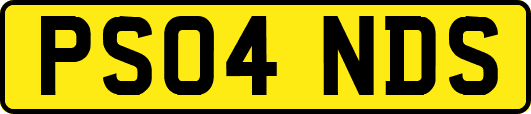 PS04NDS