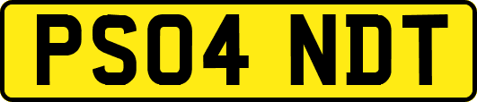 PS04NDT