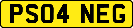 PS04NEG
