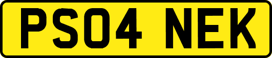 PS04NEK