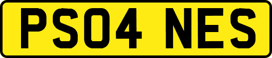 PS04NES