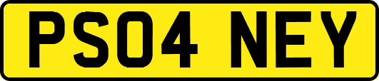 PS04NEY