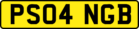 PS04NGB
