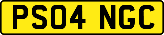 PS04NGC
