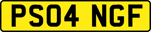 PS04NGF