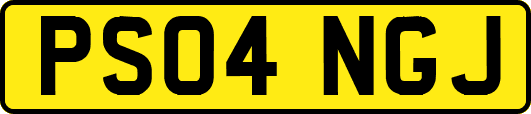 PS04NGJ