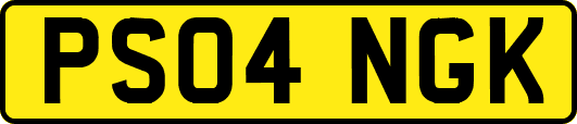 PS04NGK