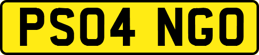 PS04NGO