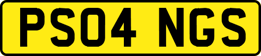 PS04NGS