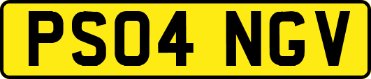 PS04NGV