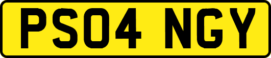 PS04NGY