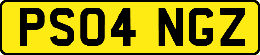 PS04NGZ