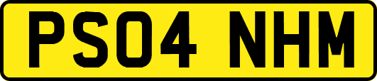 PS04NHM