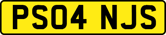 PS04NJS