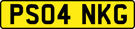 PS04NKG