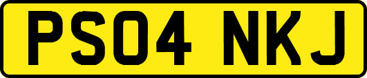 PS04NKJ