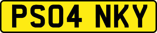 PS04NKY