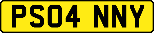 PS04NNY