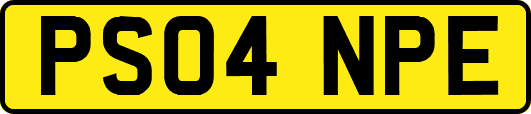 PS04NPE